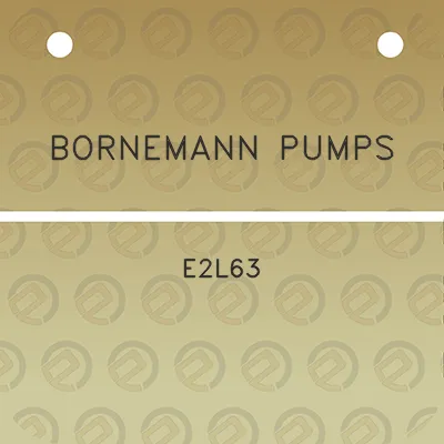 bornemann-pumps-e2l63