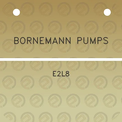 bornemann-pumps-e2l8