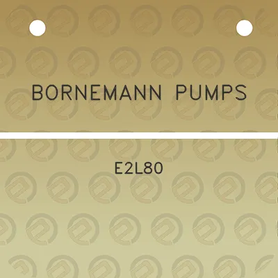 bornemann-pumps-e2l80