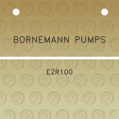 bornemann-pumps-e2r100