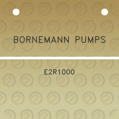 bornemann-pumps-e2r1000