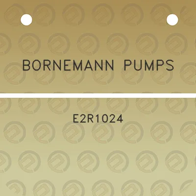 bornemann-pumps-e2r1024