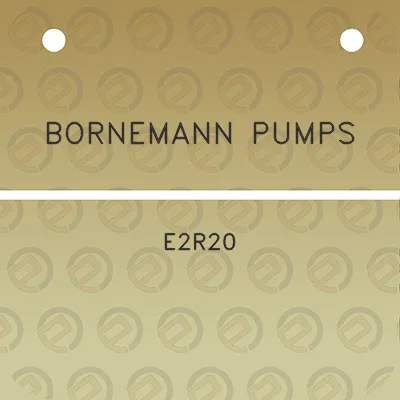 bornemann-pumps-e2r20