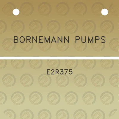 bornemann-pumps-e2r375