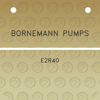 bornemann-pumps-e2r40