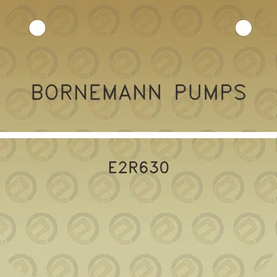 bornemann-pumps-e2r630