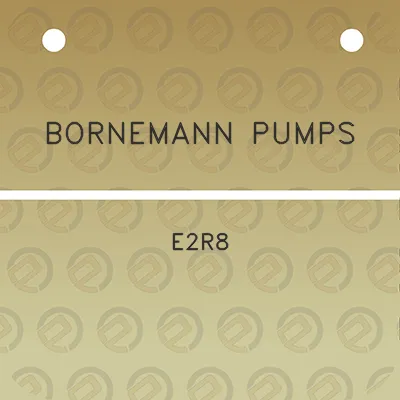 bornemann-pumps-e2r8