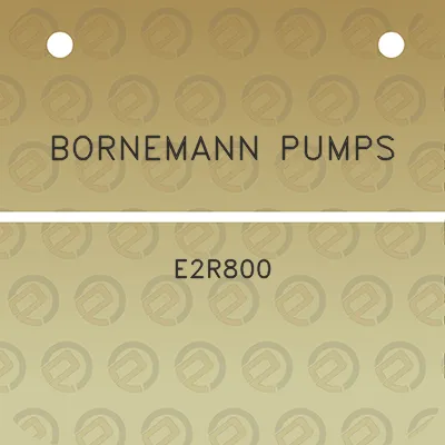 bornemann-pumps-e2r800