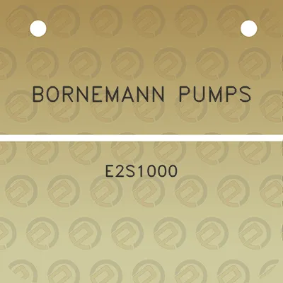 bornemann-pumps-e2s1000