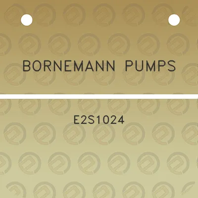 bornemann-pumps-e2s1024