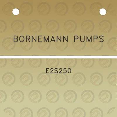 bornemann-pumps-e2s250