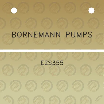 bornemann-pumps-e2s355