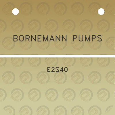 bornemann-pumps-e2s40