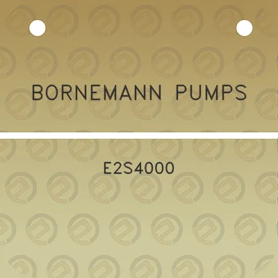 bornemann-pumps-e2s4000