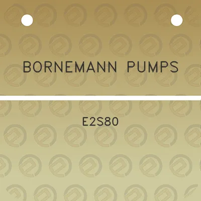 bornemann-pumps-e2s80