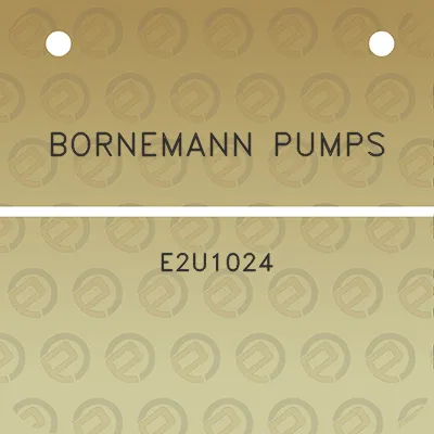 bornemann-pumps-e2u1024