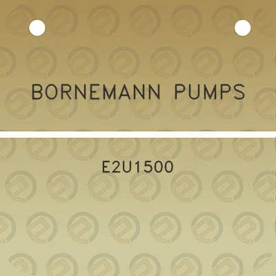 bornemann-pumps-e2u1500