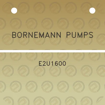 bornemann-pumps-e2u1600