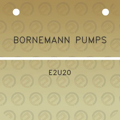 bornemann-pumps-e2u20