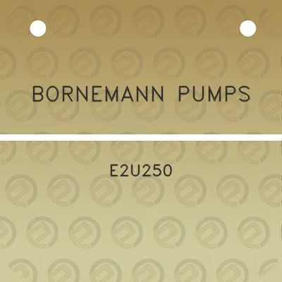 bornemann-pumps-e2u250