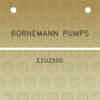 bornemann-pumps-e2u2500