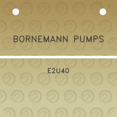 bornemann-pumps-e2u40