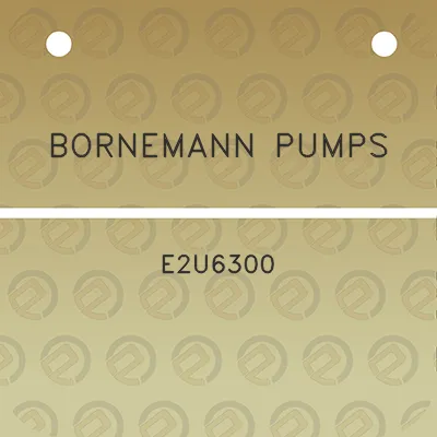 bornemann-pumps-e2u6300