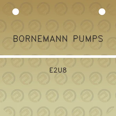 bornemann-pumps-e2u8