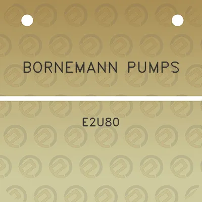 bornemann-pumps-e2u80