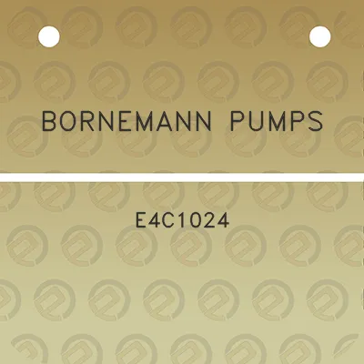 bornemann-pumps-e4c1024