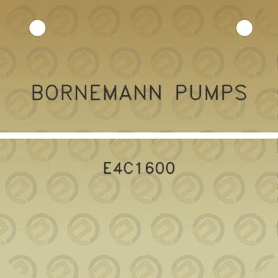 bornemann-pumps-e4c1600