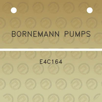 bornemann-pumps-e4c164