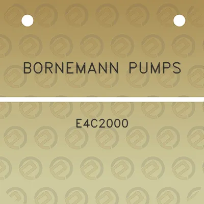 bornemann-pumps-e4c2000