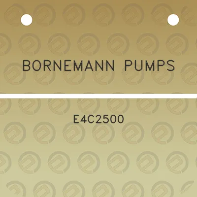 bornemann-pumps-e4c2500