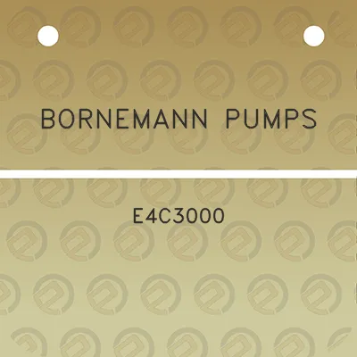 bornemann-pumps-e4c3000