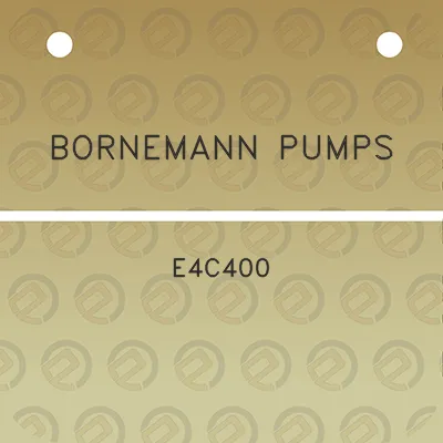 bornemann-pumps-e4c400