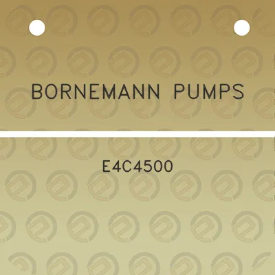 bornemann-pumps-e4c4500