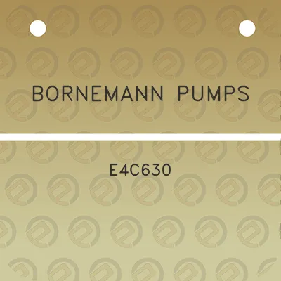 bornemann-pumps-e4c630