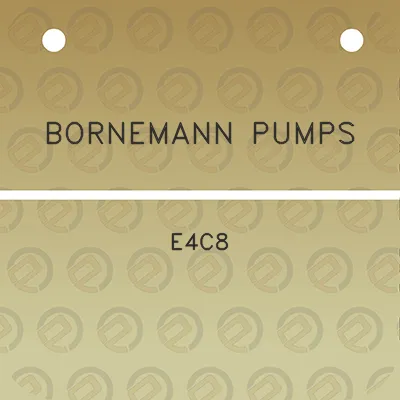 bornemann-pumps-e4c8