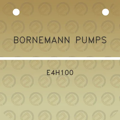 bornemann-pumps-e4h100