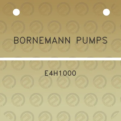 bornemann-pumps-e4h1000