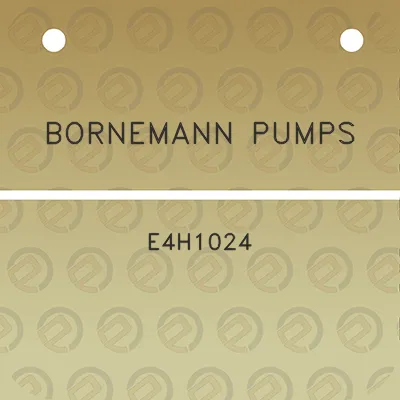 bornemann-pumps-e4h1024