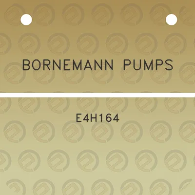 bornemann-pumps-e4h164