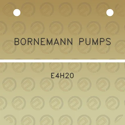 bornemann-pumps-e4h20