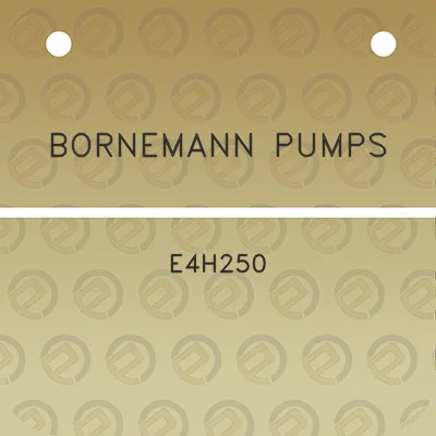 bornemann-pumps-e4h250