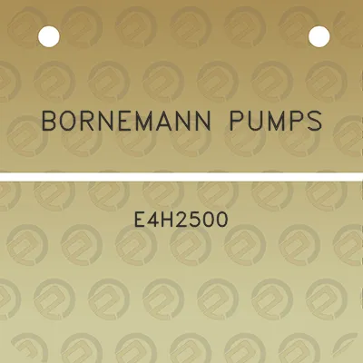 bornemann-pumps-e4h2500