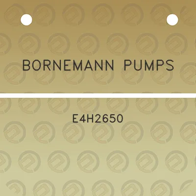 bornemann-pumps-e4h2650