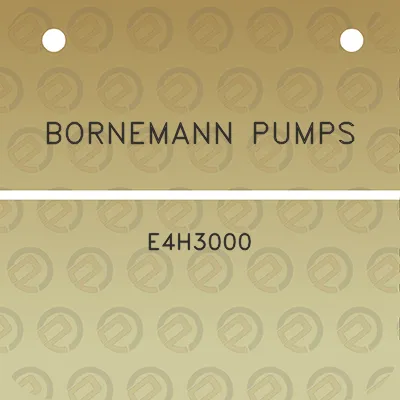 bornemann-pumps-e4h3000