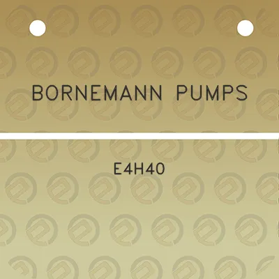 bornemann-pumps-e4h40