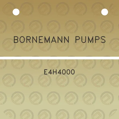 bornemann-pumps-e4h4000